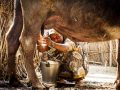 Photo Dairy by Women Aim Trust