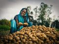 Photo Women Farmer with potato – Copy